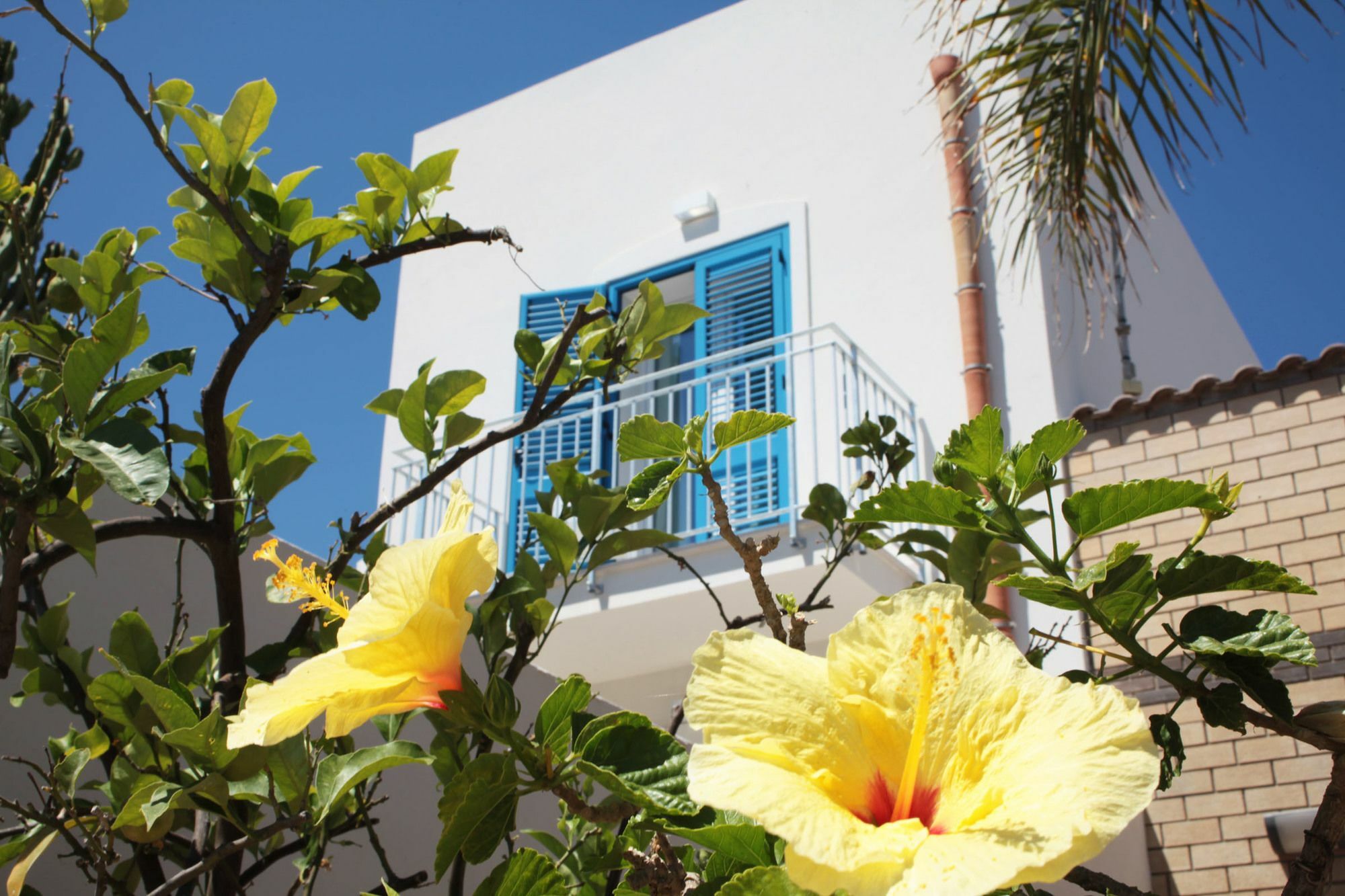 Rivazzurra Design Rooms San Vito Lo Capo Ngoại thất bức ảnh